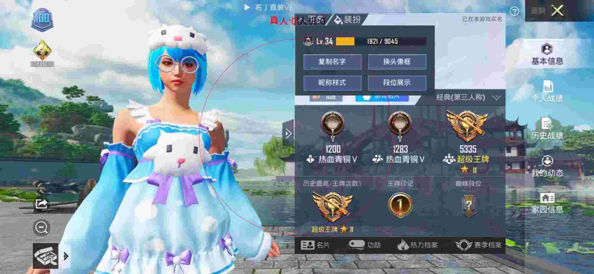 和平精英布丁直装透视 - 和平精英皮肤设计软件辅助预览图